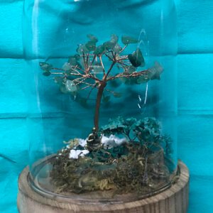 Arbre de Vie  INDIANNA